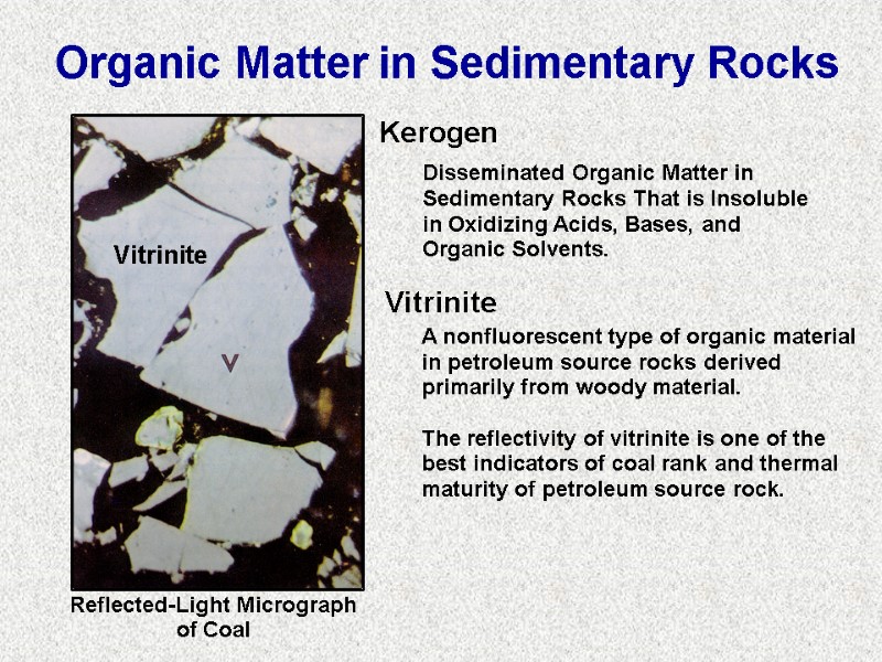 Organic Matter in Sedimentary Rocks Reflected-Light Micrograph of Coal Vitrinite Kerogen Disseminated Organic Matter